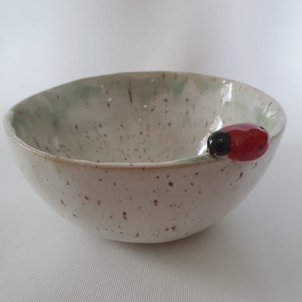 Schale mit kleinem Käfer